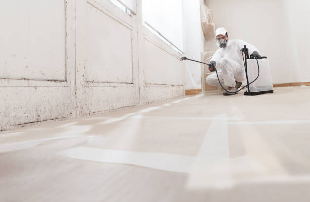 24/7 Emergency Mold Remediation experts in Washington, NC
