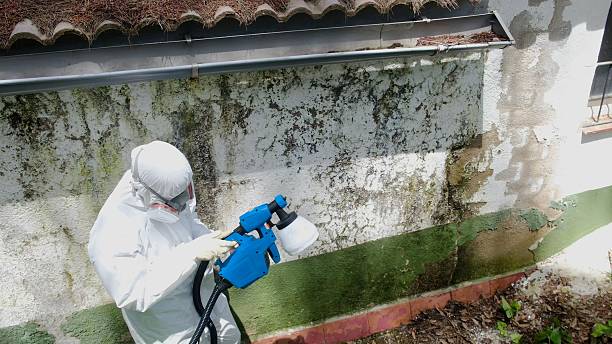 Top rated local Mold Remediation specialists in Washington, NC